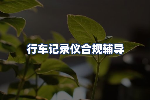 行车记录仪合规辅导