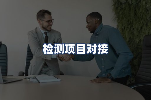 检测项目对接